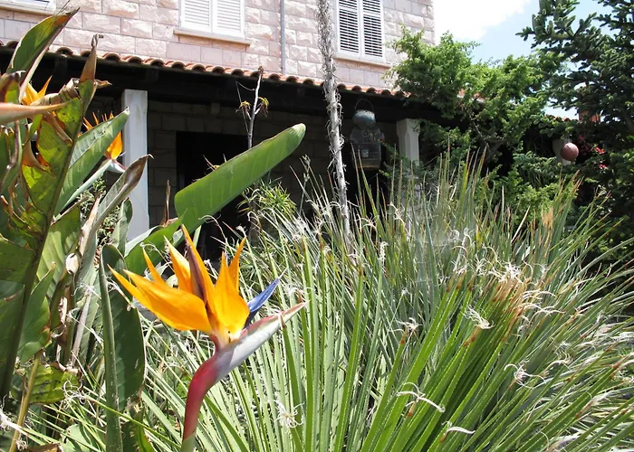 Guest House Maria Bilicic